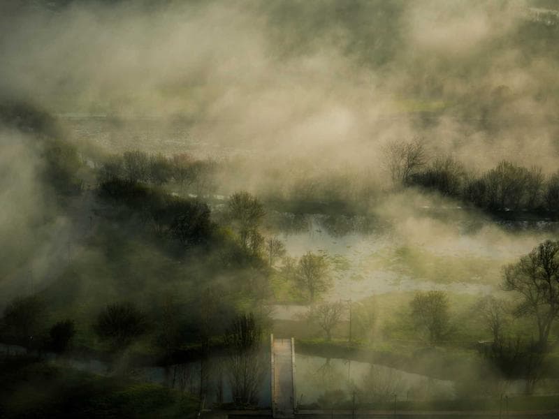 Tea and Wellness: The Ayurvedic Connection